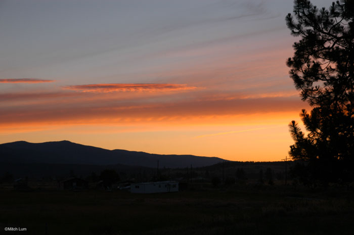 DSC_8145